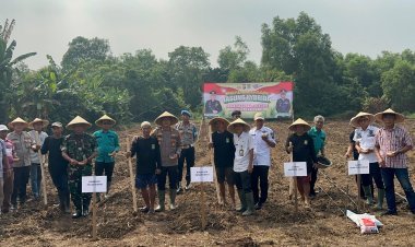Polri Hadir untuk Ketahanan Pangan, Polsek Pasar Kemis Canangkan Program Jagung