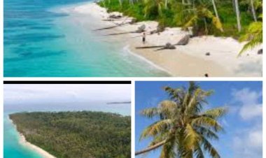 Pariwisata di Kepulauan Banyak Belum Sumbang PAD, Resort dan Penginapan Belum Tertib Pajak