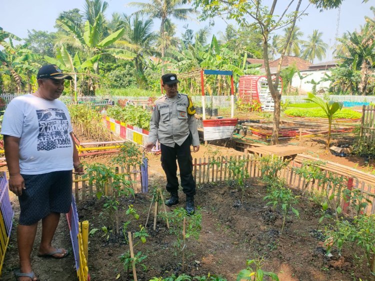 Ketahanan Pangan Nasional, Bhabinkamtibmas Balaraja Ajak Warga Tanam Terong