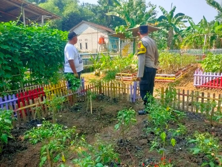 Aiptu Dedi H. Dorong Pemanfaatan Lahan Kosong Jadi Kebun Sayur di Balaraja