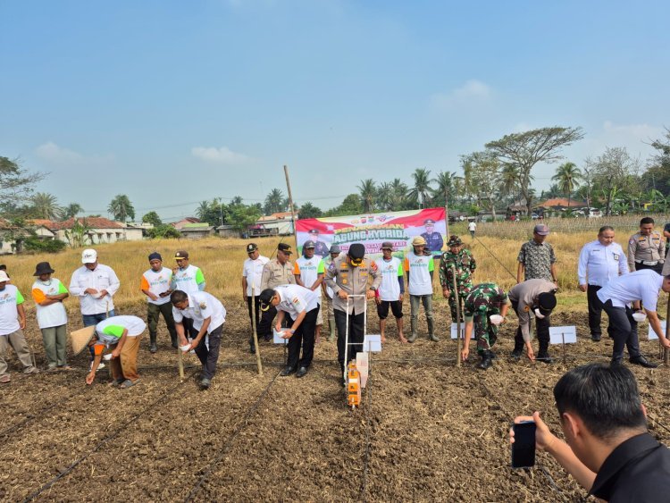 Kapolsek Kronjo Dampingi Kapolresta Tangerang dalam Kegiatan Penanaman Jagung Serentak di Desa Pasilian