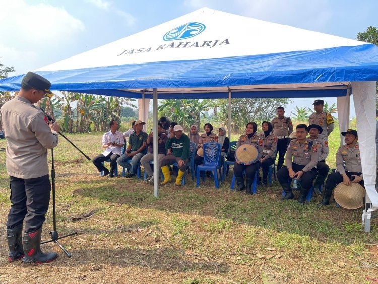 Program Commander Wish Kapolresta, Jagung Serentak Ditanam di Lahan 2 Hektare Cikupa