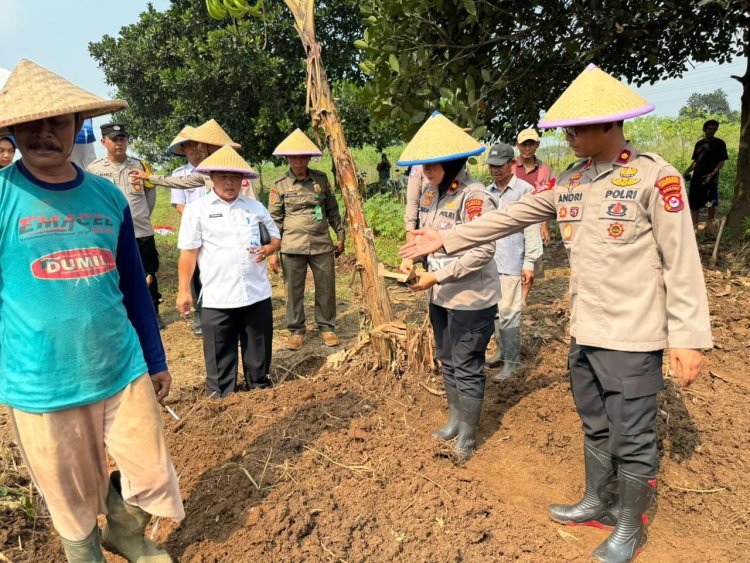 Gerakan Wangsakara: Polresta Tangerang Tanam Jagung Serentak di Lahan Pertanian Cikupa