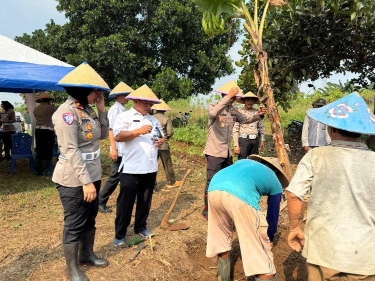 Sinergi TNI-Polri dan Pemerintah Daerah, Lahan 2 Hektare di Cikupa Ditanami Jagung