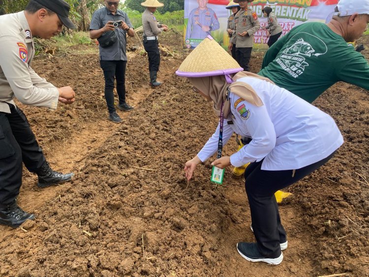 Program PAT Wangsakara, Polresta Tangerang Manfaatkan Lahan Tidur untuk Pertanian Jagung