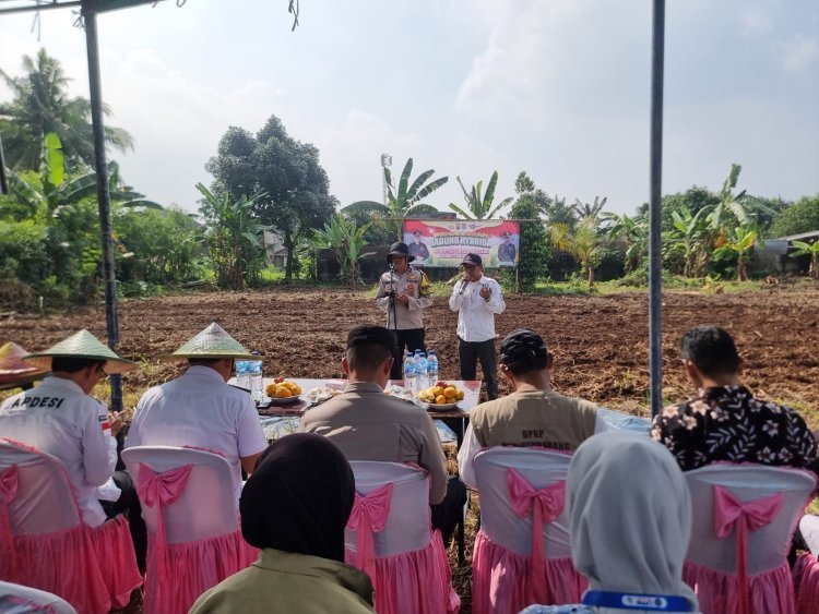 Polresta Tangerang bersama Dinas Pertanian Kabupaten Tangerang menggelar kegiatan penanaman jagung serentak di wilayah Kecamatan Cikupa
