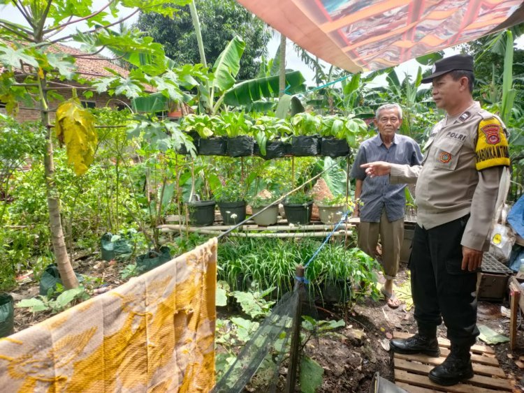 Bhabinkamtibmas Polsek Balaraja Polresta Tangerang Ajak Warga Dukung Program Ketahanan Pangan di Sektor Tanaman (Sayuran) di Wilayah