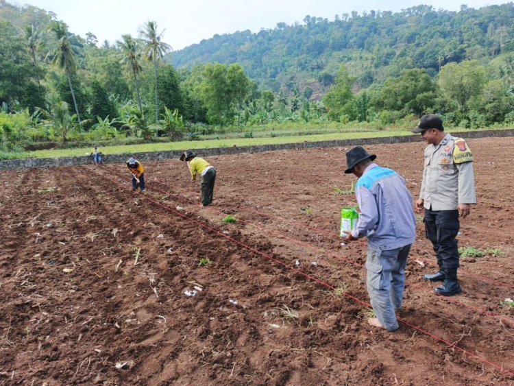 Bhabinkamtibmas dan Poktan Kepindis Bersinergi Wujudkan Ketahanan Pangan di Lebakgede