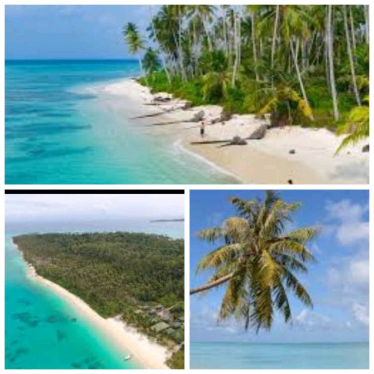 Pariwisata di Kepulauan Banyak Belum Sumbang PAD, Resort dan Penginapan Belum Tertib Pajak