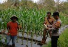 Polisi dan Petani Jalin Kebersamaan, Dukung Stabilitas Pangan di Cilegon