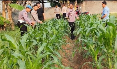 Kapolres Cilegon: Cek Tanaman Jagung Bentuk Nyata Polri Dekat dengan Warga