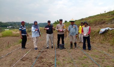 Sinergi dengan Warga, Polsek Mancak Perkuat Ketahanan Pangan 2025