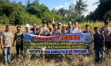 Polisi dan Petani Kompak, Hasilkan Jagung untuk Ketahanan Pangan