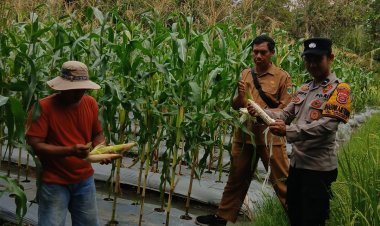 Kapolsek Ciwandan Tekankan Kolaborasi Polri dan Petani Jaga Kedaulatan Pangan