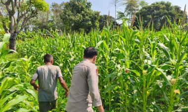 Polres Cilegon Dorong Pemanfaatan Lahan Pertanian Secara Optimal