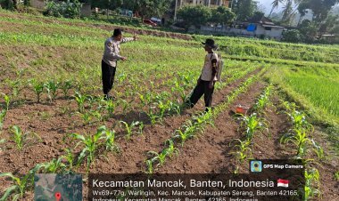 Polres Cilegon Dorong Program Ketahanan Pangan Lewat Pertanian Jagung