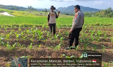 Polsek KP Banten Awasi Penyemprotan Pestisida Jagung di Desa Waringin