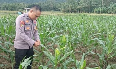 Polisi dan Petani Bersatu Wujudkan Ketahanan Pangan Nasional di Cilegon