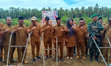 Babinsa Ikut Dorong Program Ketahanan Pangan di Aceh Singkil