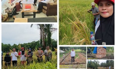 Bumdes Desa Sebatang Kembangkan Usaha Ayam Petelur untuk Ketahanan Pangan