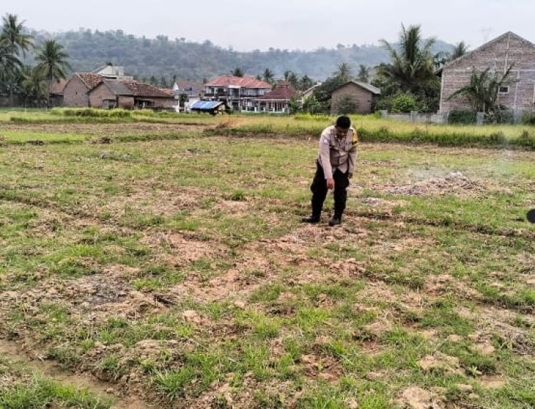 Bhabinkamtibmas Purwakarta Dampingi Petani Jagung Dukung Ketahanan Pangan