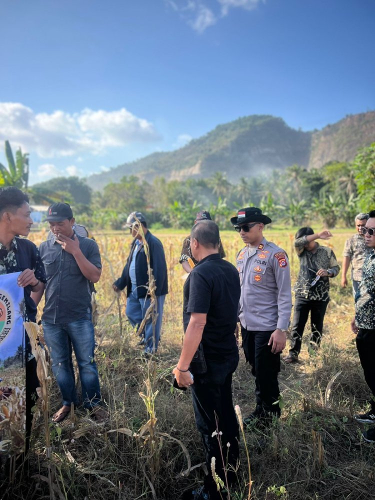 Panen Raya Jagung Ukirsari Jadi Simbol Kolaborasi Polisi-Petani