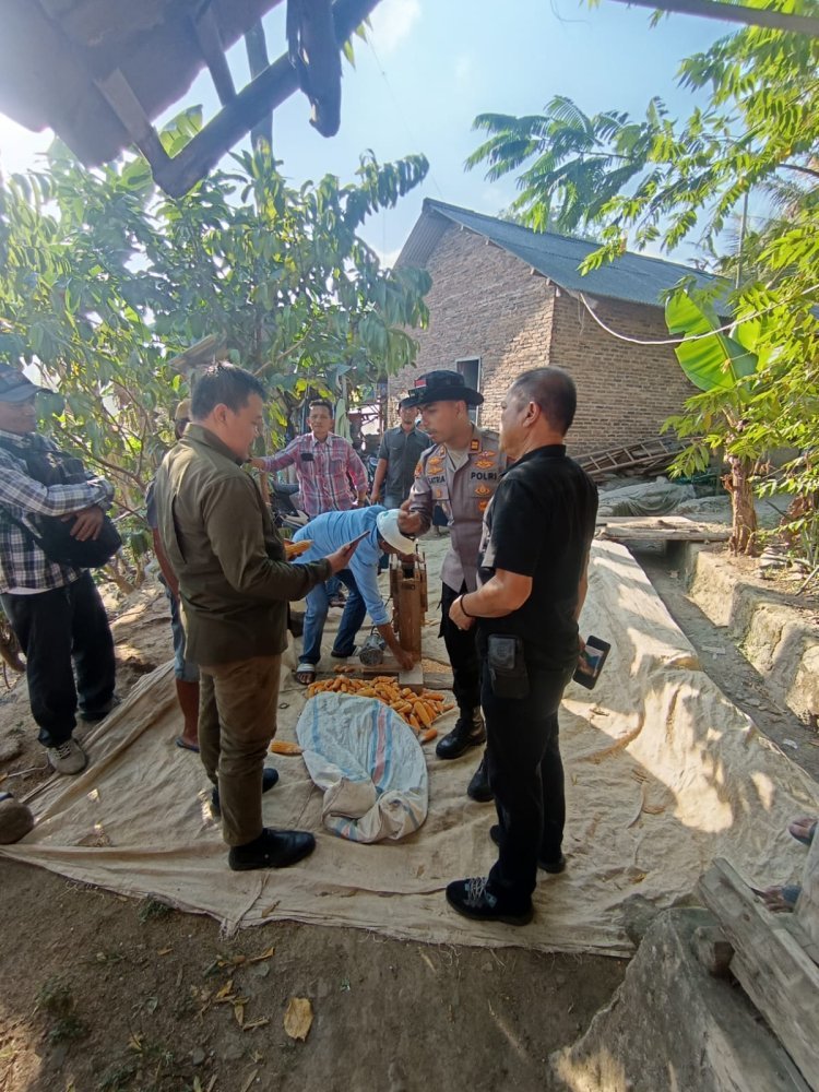 Panen Raya di Ukirsari Perlihatkan Kebersamaan Polisi dan Warga Desa