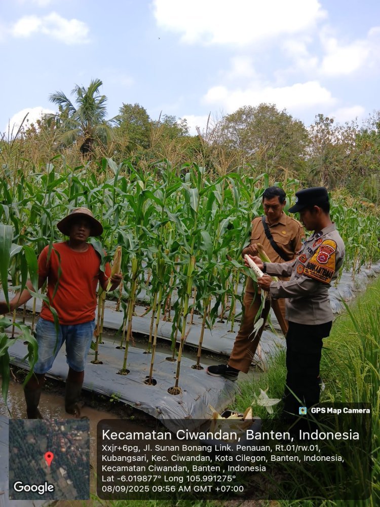 Polri Hadir di Lahan Pertanian, Dorong Produktivitas Petani Cilegon