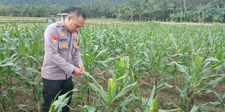 Polisi dan Petani Bersatu Wujudkan Ketahanan Pangan Nasional di Cilegon