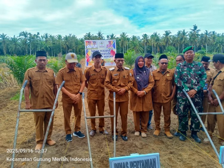 Wabup Aceh Singkil Bersama Forkopimcam dan Kepala Desa Tanam Jagung Dukung Program Ketahanan Pangan