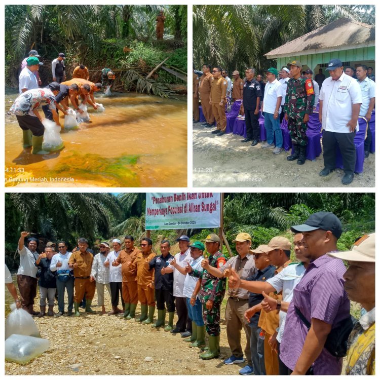 PT Nafasindo Tebar 32 Ribu Benih Ikan di Sungai Gombar, Wujud Kepedulian terhadap Lingkungan dan Masyarakat