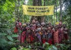 Janji Baru Hutan Adat: Indonesia Komit Perkuat Hak Masyarakat Adat, Tapi Mendapat Skeptisisme