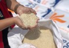 Harga Beras Mulai Stabil Setelah Tambahan Pasokan Impor