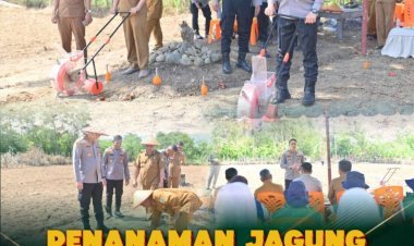 Kapolres Pidie Laksanakan Penanaman Jagung Kuartal IV di Lahan Binaan Polres Pidie