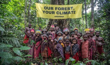 Janji Baru Hutan Adat: Indonesia Komit Perkuat Hak Masyarakat Adat, Tapi Mendapat Skeptisisme
