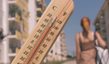 Rekor Suhu Baru: 2025 Diprediksi Jadi Tahun Terpanas Sepanjang Sejarah