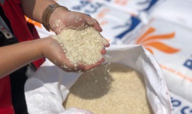 Harga Beras Mulai Stabil Setelah Tambahan Pasokan Impor