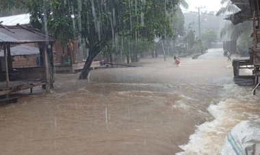 Banjir Rendam Desa Tanjung Mas, Warga Panik Saat Air Terus Meningkat dan Listrik Padam