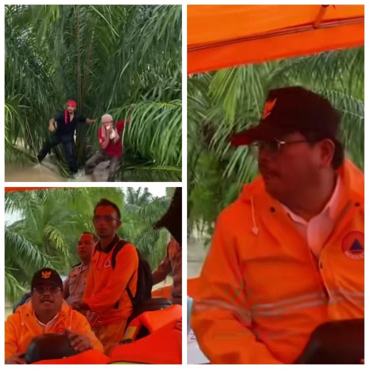Bupati Aceh Singkil Selamatkan Dua Warga yang Terjebak di Atas Pohon Sawit Saat Banjir Besar