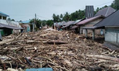 Banjir dan Longsor Asia Tenggara Tewaskan Ribuan, Indonesia Paling Terdampak