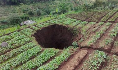 Lubang Besar di Sawah Sumatera Barat Viral, Ahli Geologi Pastikan Bukan Akibat Gempa
