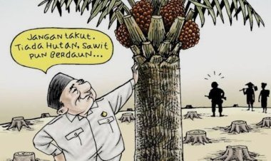 Sejarah PT Socfindo Kebun Lae Butar di Aceh Singkil Sejak 1936, Isu Kerusakan Lingkungan Dinilai Kurang Tepat
