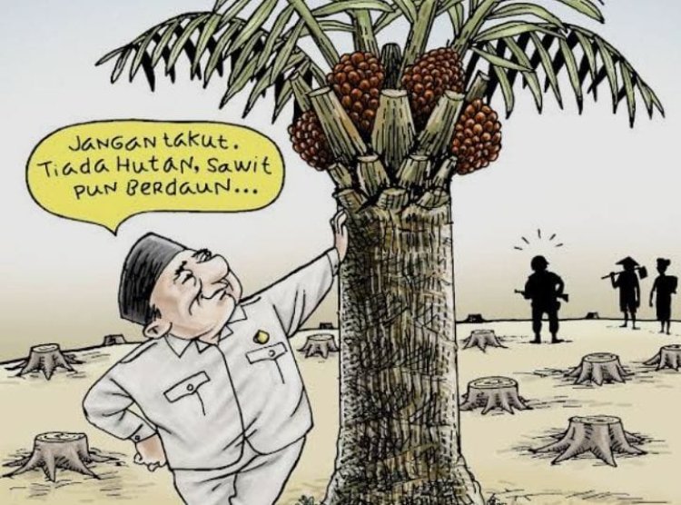 Sejarah PT Socfindo Kebun Lae Butar di Aceh Singkil Sejak 1936, Isu Kerusakan Lingkungan Dinilai Kurang Tepat