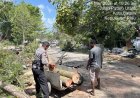 Polsek Sekupang Gerak Cepat Tangani Pohon Tumbang yang Timpa Rumah Warga di Patam Lestari