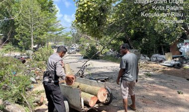 Polsek Sekupang Gerak Cepat Tangani Pohon Tumbang yang Timpa Rumah Warga di Patam Lestari