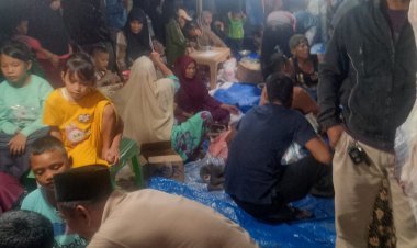 Tradisi Meugang Masih Terjaga, Puluhan Kerbau Disembelih di Simpang Kanan Jelang Idul Fitri