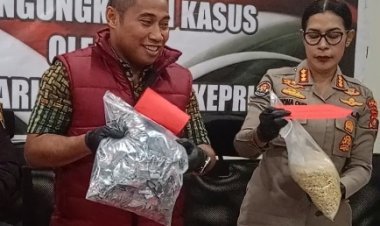 Ditresnarkoba Polda Kepri Bongkar 41 Kasus Narkoba, Satu WNA Malaysia Ikut Diamankan