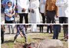 Bupati Aceh Singkil Saksikan Penyembelihan Hewan Qurban di Masjid Nurul Makmur