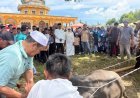 Bupati Aceh Singkil dan Keluarga Berkurban di Masjid Baiturrahman Lae Butar