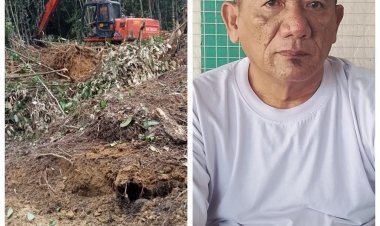 Hutan Produksi Diduga Dibabat di Aceh Singkil, Ketua LDAI Soroti Dugaan Pembiaran